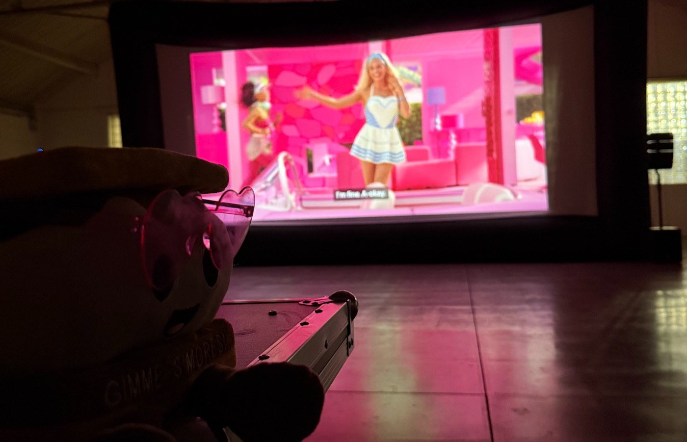 Indoor movie party